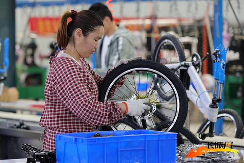 高清組圖丨河北廣宗 自行車童車俏銷海內外，傳統制造煥發新活力